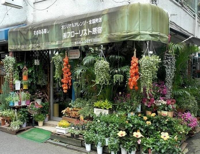 90后美女在閣樓開店鋪！房間太破，奇思妙想用各種植物來掩蓋