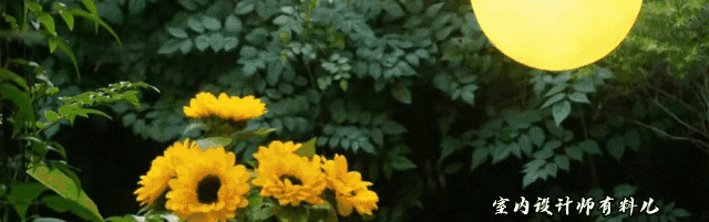 她買(mǎi)下一樓60平方米院子，打造成絕美花園，連陽(yáng)臺(tái)、客廳也不放過(guò)